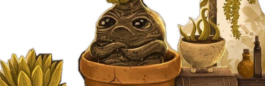 SecundariaZenaida Cover Image