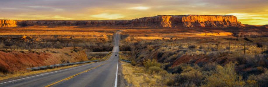 SecundariaKatty Cover Image