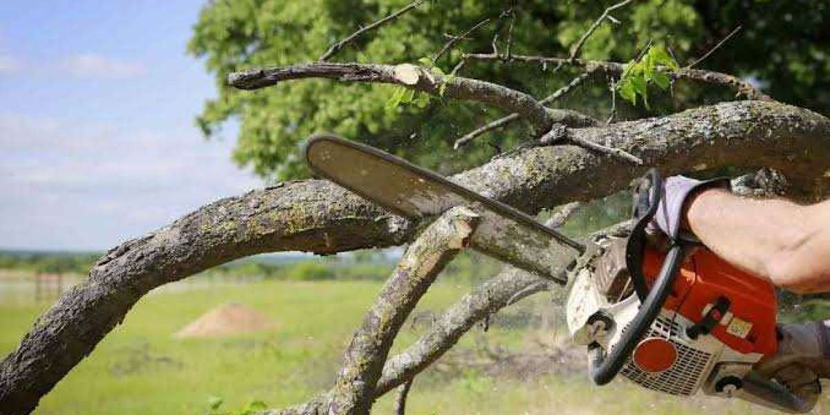 Article Picture